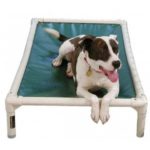 Kuranda Dog Beds for Comfortable Sleeping