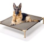 Elevated Dog Bed with Great Designs